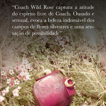 Wild-Rose-Coach-–-Perfume-Feminino-–-Eau-de-Parfum-30ml--3