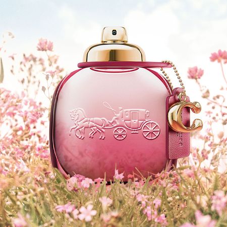 Wild-Rose-Coach-–-Perfume-Feminino-–-Eau-de-Parfum-30ml--4