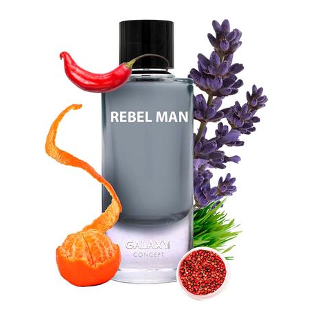 Rebel-Men-Galaxy-Concept-–-Perfume-Masculino-–-Eau-de-Parfum-100ml--3