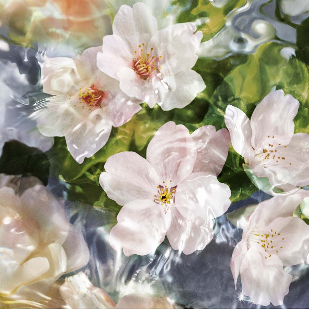 Aqua Allegoria Flora Cherrysia Guerlain – Perfume Feminino – Eau de Toilette