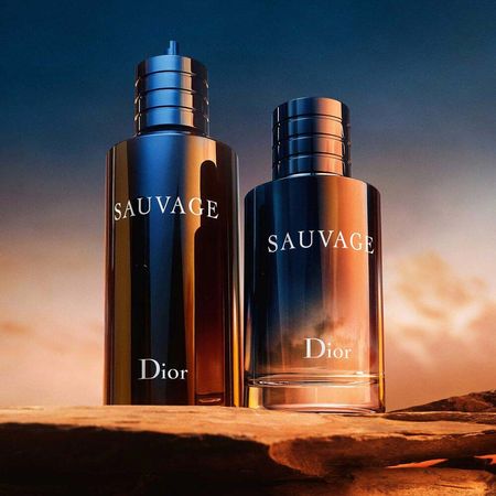 https://epocacosmeticos.vteximg.com.br/arquivos/ids/515262-450-450/refil-sauvage-dior-perfume-masculino-edp-4.jpg?v=638017828425270000