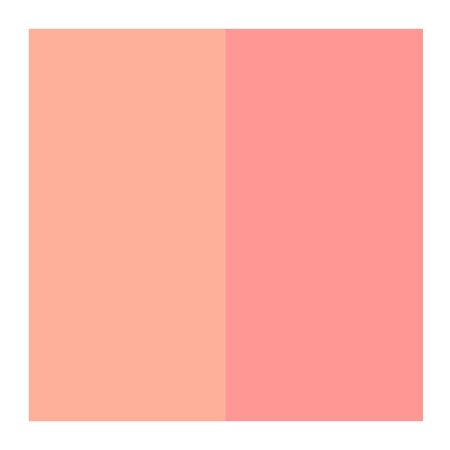 Blush-Duo-Compacto-Zanphy-03--2