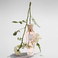 Água Fresca de Rosas Blancas Adolfo Dominguez - Perfume Feminino - Eau de Toilette 120ml