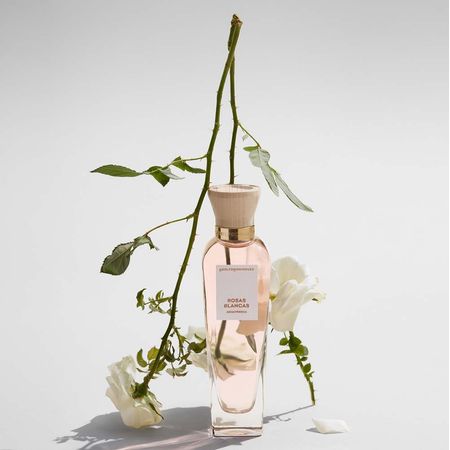 Água-Fresca-de-Rosas-Blancas-Adolfo-Dominguez---Perfume-Feminino---Eau-de-Toilette-120ml--3