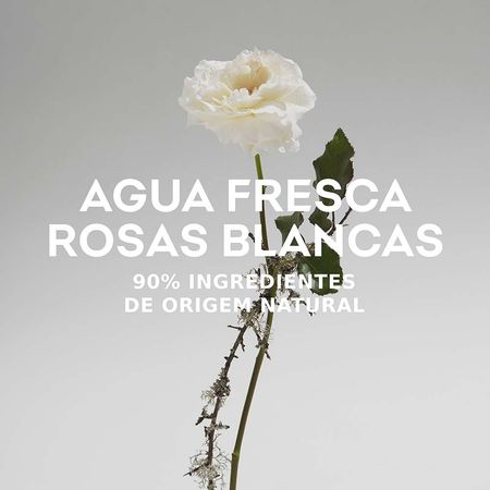 Água-Fresca-de-Rosas-Blancas-Adolfo-Dominguez---Perfume-Feminino---Eau-de-Toilette-120ml--7