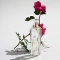 Água Fresca de Rosas Adolfo Dominguez - Perfume Feminino - Eau de Toilette 120ml
