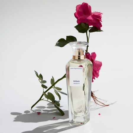Água-Fresca-de-Rosas-Adolfo-Dominguez---Perfume-Feminino---Eau-de-Toilette-120ml--3