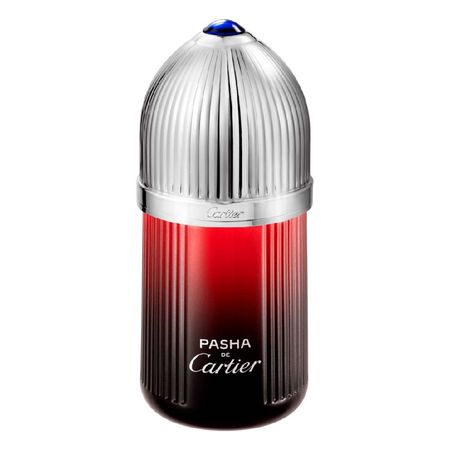 Pasha-de-Cartier-Édition-Noire-Sport-Cartier---Perfume-Masculino---Eau-de-Toilette-100ml--1