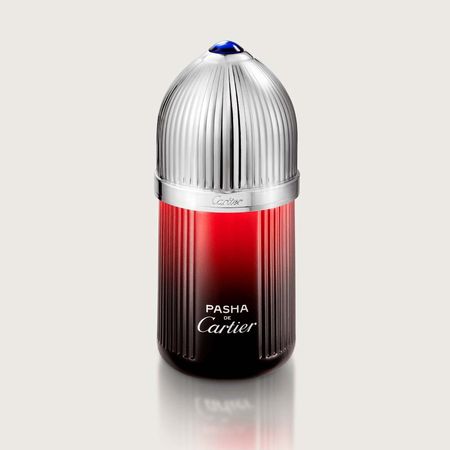 Pasha-de-Cartier-Édition-Noire-Sport-Cartier---Perfume-Masculino---Eau-de-Toilette-100ml--2