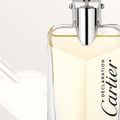 Déclaration Cartier - Perfume Masculino - Eau de Toilette 50ml