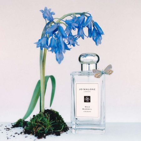 https://epocacosmeticos.vteximg.com.br/arquivos/ids/545701-450-450/wild-bluebell-cologne-jo-malone-perfume-unissex-2.jpg?v=638175270596470000