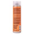 Cadiveu Professional Bye Bye Frizz Shampoo 250ml