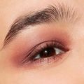 Paleta de Sombras MAC Connect In Colour Eye Shadow Palette Embedded in Burgundy 1 Un
