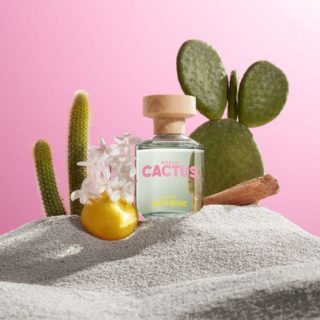 https://epocacosmeticos.vteximg.com.br/arquivos/ids/551927-450-450/united-dreams-cactus-benetton-perfume-feminino-eau-de-toilette--5-.jpg?v=638204489991270000