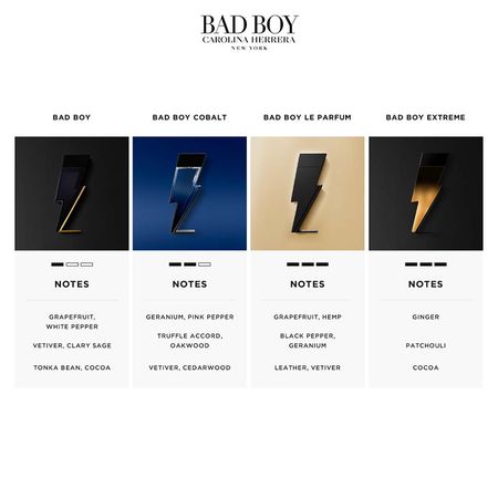 Bad-Boy-Extreme-Carolina-Herrera---Perfume-Masculino---Eau-de-Parfum-50ml--9