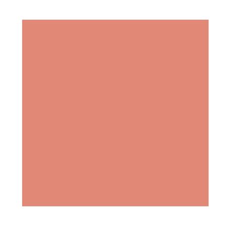 Blush-Too-Faced-Papa-Dont-Peach-1Un--2