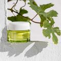 Creme Facial Refinador de Poros Korres Santorini Grape 40ml