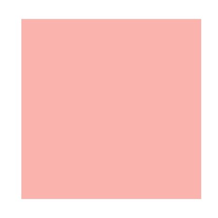 Blush-em-Pó-wet-n-wild---Color-Icon-Pinch-Me-Pink--2