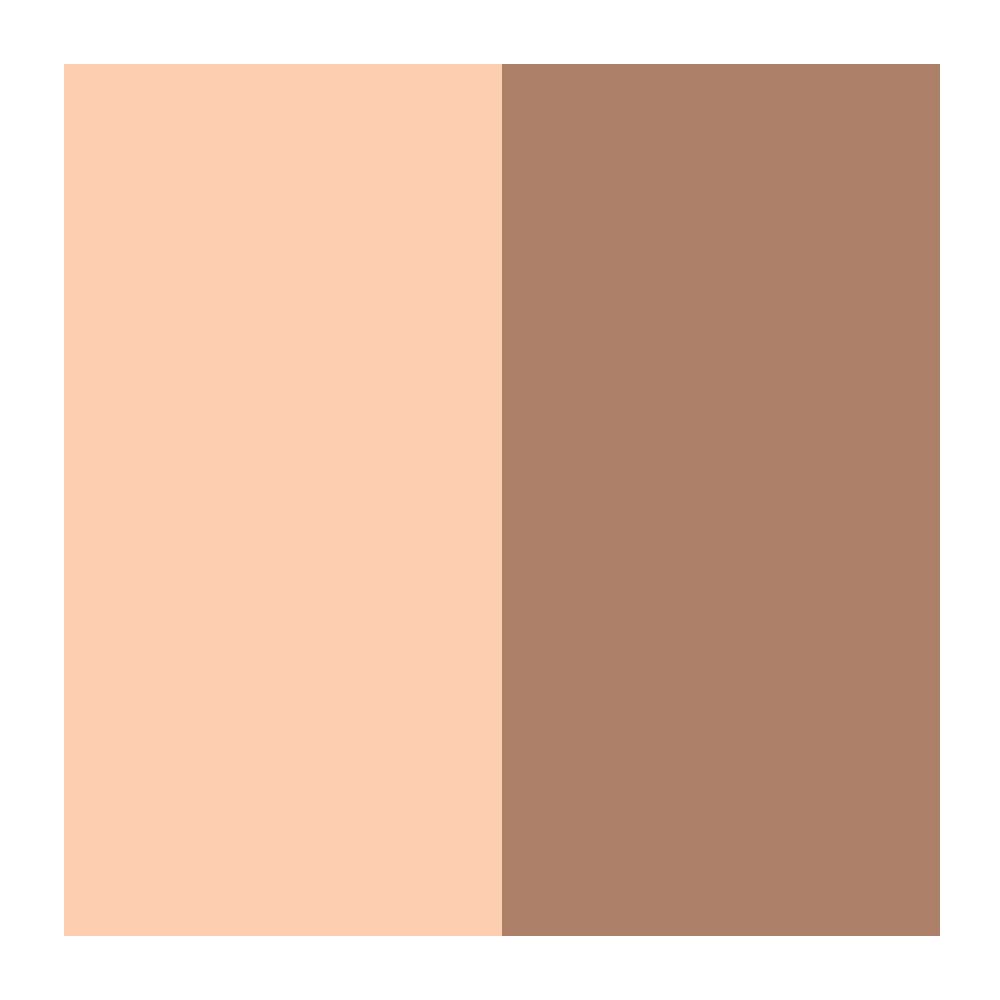 Paleta De Contorno wet n wild - Megaglo