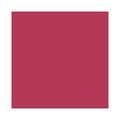 Balm Labial Clinique Chubby Stick Moisturizing Roomiest Rose