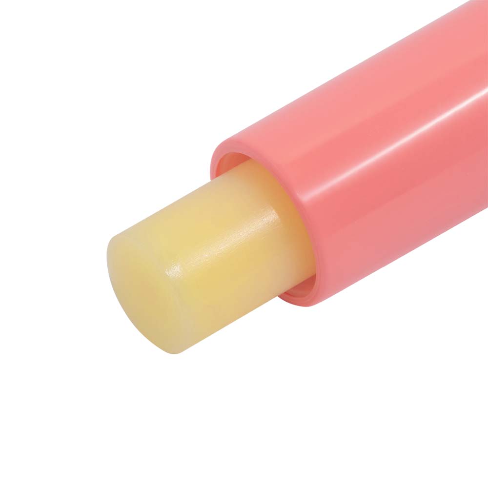 Protetor Labial Dailus Lip Balm FPS8