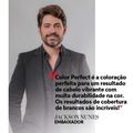 Coloração Permanente Wella Professionals Color Perfect Deep Browns 4/77 Castanho Médio Marrom Intenso
