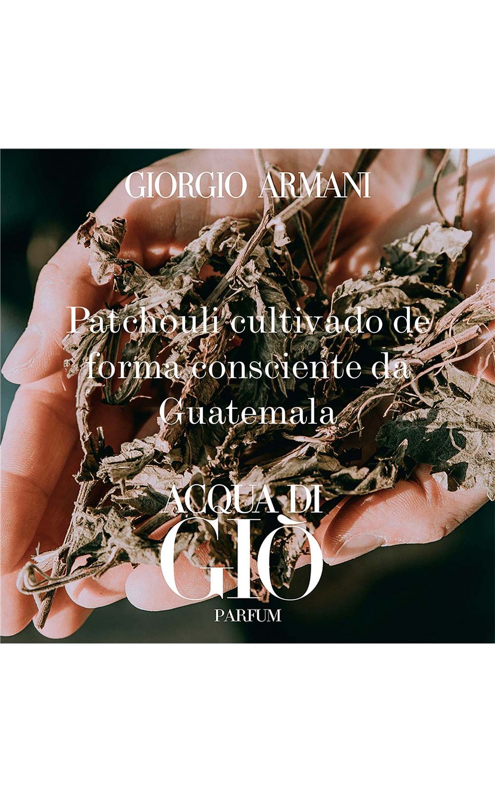Foto 5 - Acqua Di Giò Homme Giorgio Armani - Perfume Masculino - Eau de Toilette - 100ml