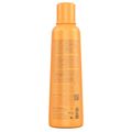 Richée Professional Argan E Ojon Leave-In 250ml