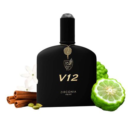 V12-Zirconia-Privé-Perfume-Masculino-Eau-de-Parfum-100ml--3