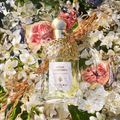 Coffret Aqua Allegoria Nerolia Vetiver Guerlain Kit - Perfume Feminino EDT + Travel Size + Loção Corporal Kit