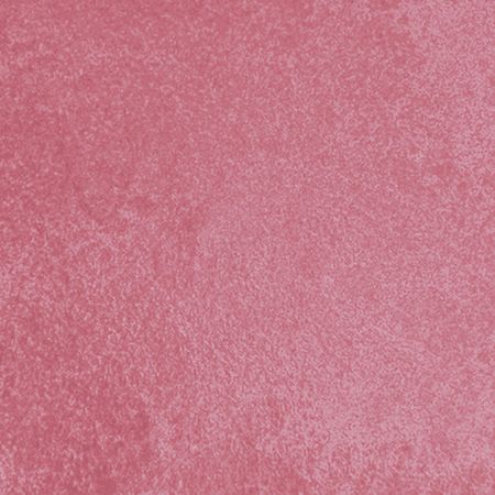 Blush-Contém-1g---Baked-Flamingo--2