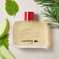 Perfume Lacoste Red  Masculino Eau de Toilette 125ml