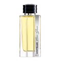 Perfume Vetiver Glacier MontBlanc Eau de Parfum Masculino 125ml