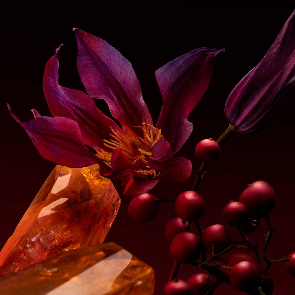 Perfume Hugo Boss The Scent Elixir For Her Feminino