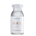 BRAÉ Soul Color - Ampola 13ml 24un