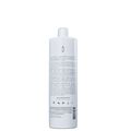 Kit BRAE Divine Anti-Frizz - Shampoo 1L (2 Unidades)