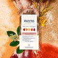 Coloração Permanente Phyto Color 8.1 Light Ash Blonde