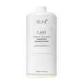 Kit Keune Care Derma Activate - Shampoo 1L (2 unidades)