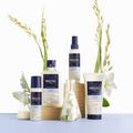 Phyto Softness Shampoo 250ml