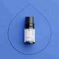 Óleo Essencial Organico Natural de Ylang Ylang 10ml