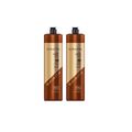 Kit Lowell Blinda Cor Pro Performance - Shampoo 1L (2 unidades)