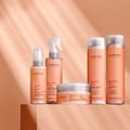 Kit Cadiveu Professional Bye Bye Frizz Shampoo Condicionador Selagem Gradativa e Leave-in (4 produtos)