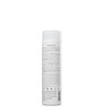 Kit BRAE Gorgeous Volume - Shampoo 250ml (2 Unidades)