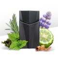 Perfume Animale Seduction Homme Masculino Eau de Toilette 30 ml 30 ml