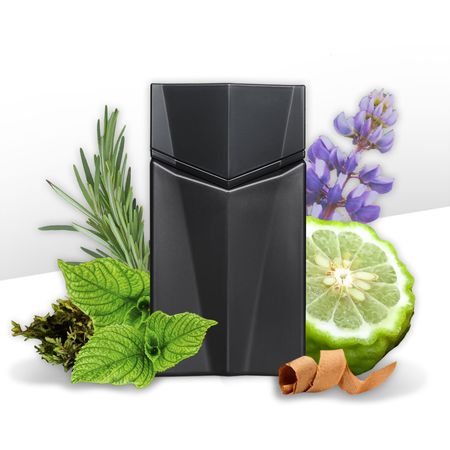 Perfume-Animale-Seduction-Homme-Masculino-Eau-de-Toilette-30-ml-30-ml--4