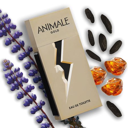 Perfume-Animale-Gold-Masculino-Eau-de-Toilette-100-ml-100-ml--4