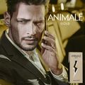 Perfume Animale Gold Masculino Eau de Toilette 100 ml 100 ml