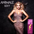 Perfume Animale Sexy Feminino Eau de Parfum 100 ml 100 ml