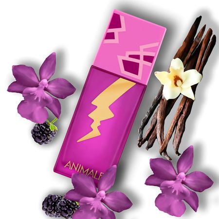 Perfume-Animale-Sexy-Feminino-Eau-de-Parfum-100-ml-100-ml--4