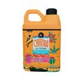 Esfoliante Corporal Lola Cosmetics Chapada Que Já Foi Mar 500 g 500 g